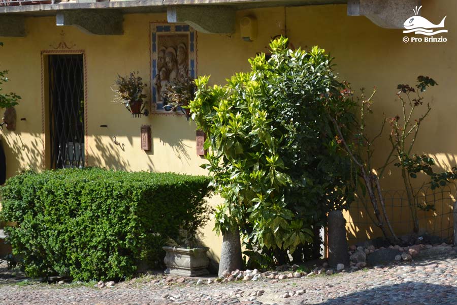 Curt di Tulìtt, particolare Curt di Tulìtt, particolare