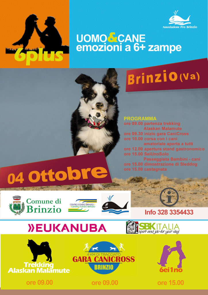 6plus il mondo del cane brinzio varese